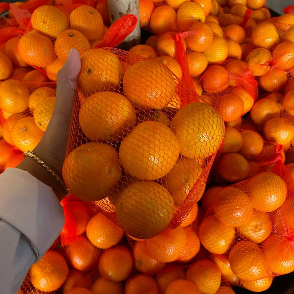 South Africa Baby Mandarin (16 Pcs/Pack)-Citrus-MBG Fruit Shop
