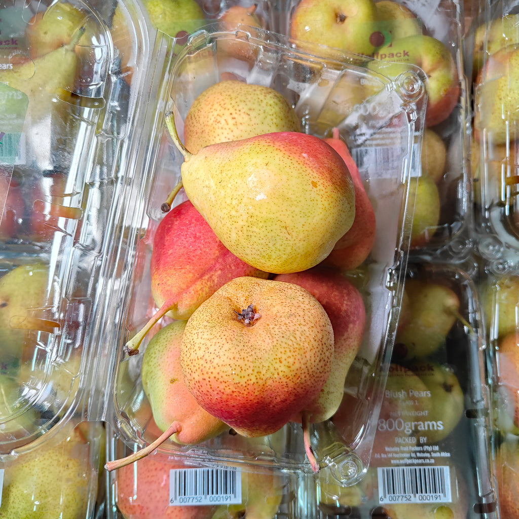 South Africa Blush Pear [800G/Pack]-Apples Pears-MBG Fruit Shop