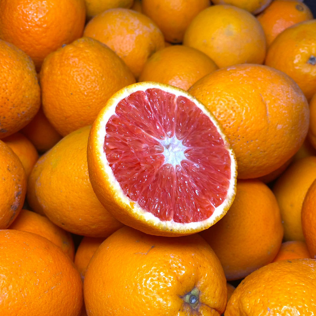 South Africa Cara Cara Orange (L) [4 Pcs]-Citrus-MBG Fruit Shop