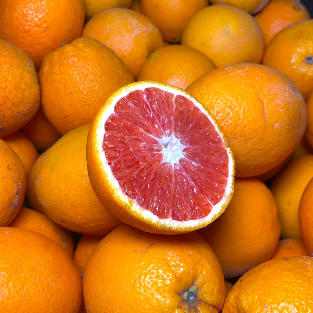 South Africa Cara Cara Orange (M) (5 Pcs)-Citrus-MBG Fruit Shop