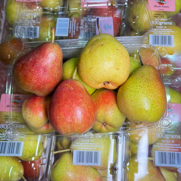 South Africa Forelle Pear [800G/Pack]-Apples Pears-MBG Fruit Shop