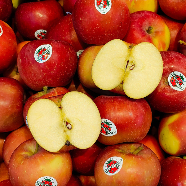 South Africa Fuji Apple (S) [10 Pcs]-Apples Pears-MBG Fruit Shop