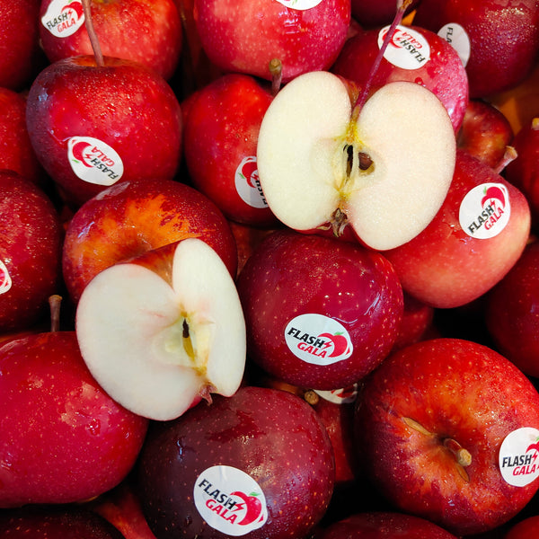South Africa Gala Apple (S) [8 Pcs]-Apples Pears-MBG Fruit Shop