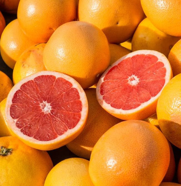 South Africa Grapefruit (M) (4 Pcs)-Citrus-MBG Fruit Shop