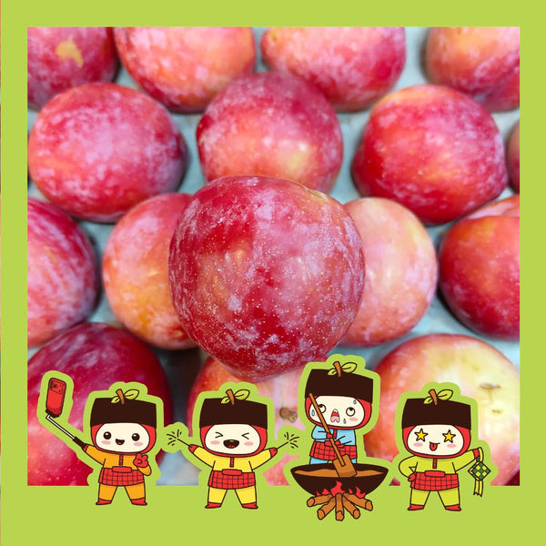 South Africa Laetitia Plum [5pcs]-MBG Fruit Shop