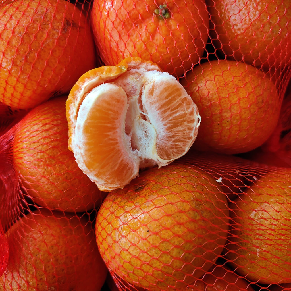 South Africa Leanri Mandarin (1XX) [1 Pc]-Citrus-MBG Fruit Shop