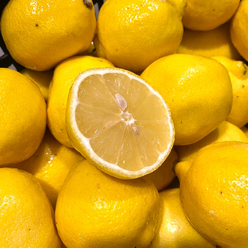 South Africa Lemon (M) [5 Pcs]-Citrus-MBG Fruit Shop