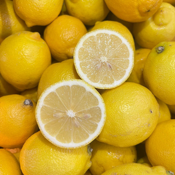 South Africa Lemon (S) [1 Pc]-Citrus-MBG Fruit Shop