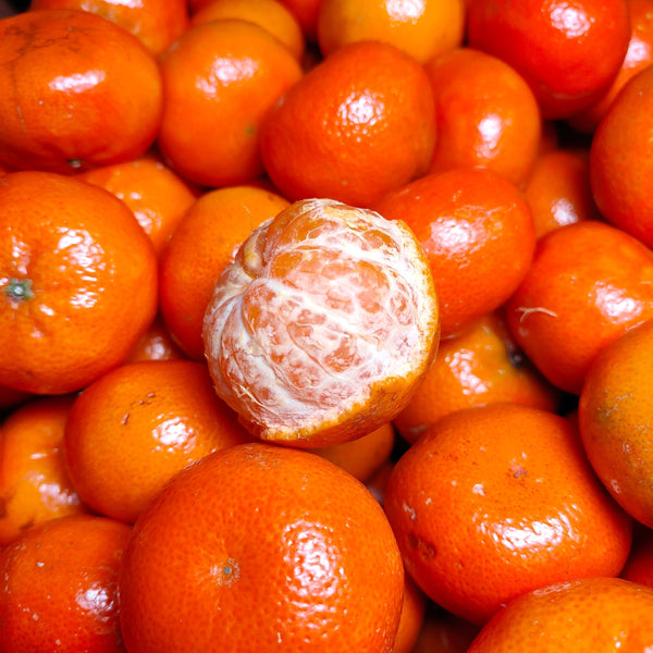 South Africa Mandarin Royal Honey Murcott [5pcs]-Citrus-MBG Fruit Shop