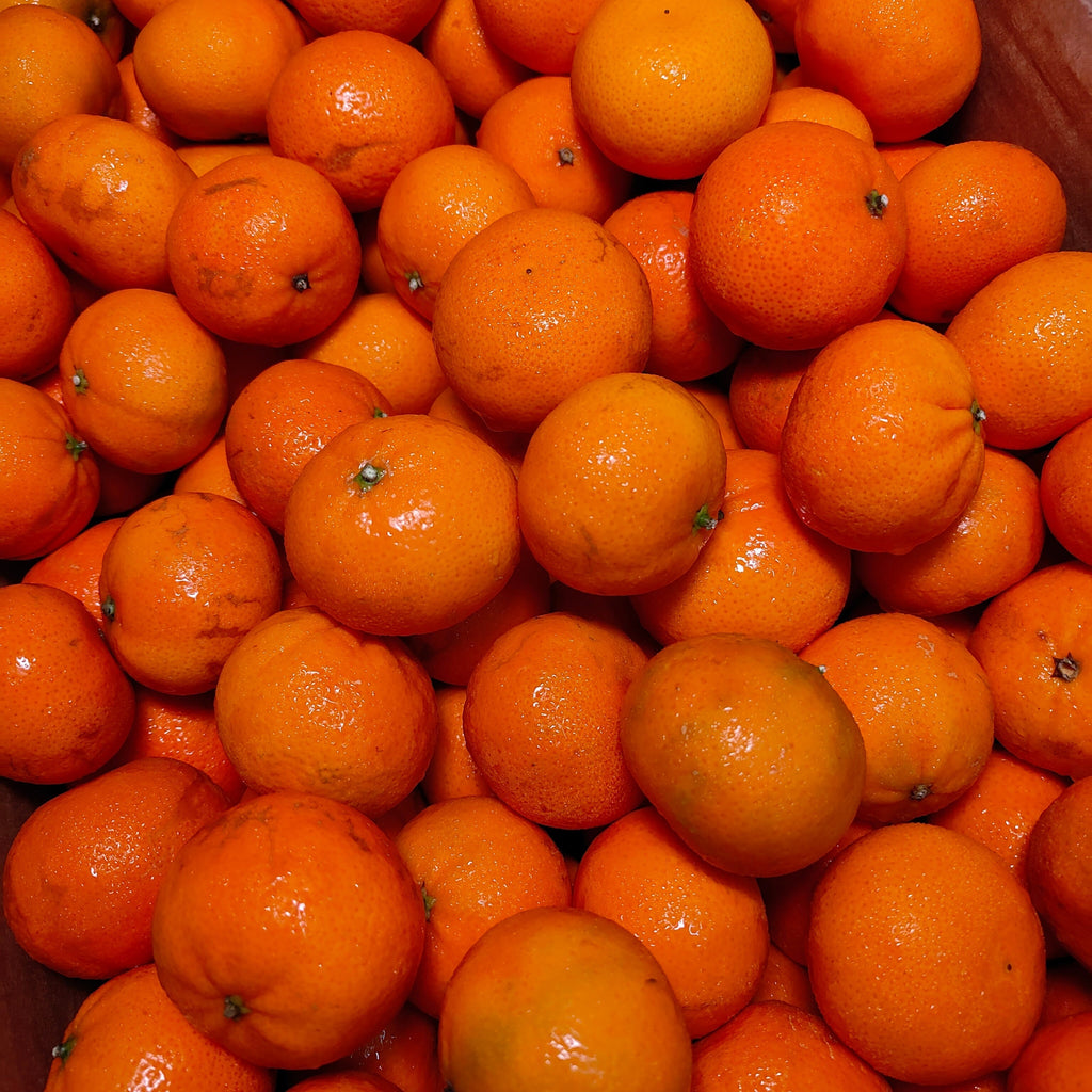 South Africa Nadorcott Tangerine (M) [20 Pcs/Pack]-Citrus-MBG Fruit Shop