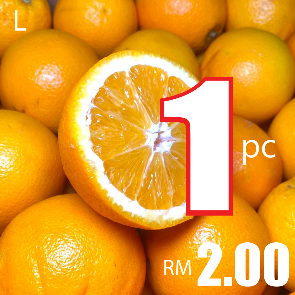 South Africa Navel Orange (L) (1 Pc)-Citrus-MBG Fruit Shop