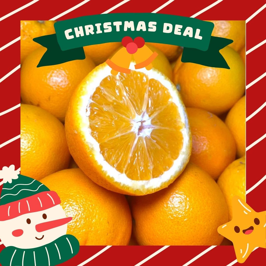 South Africa Navel Orange (M) [6 Pcs]-Citrus-MBG Fruit Shop