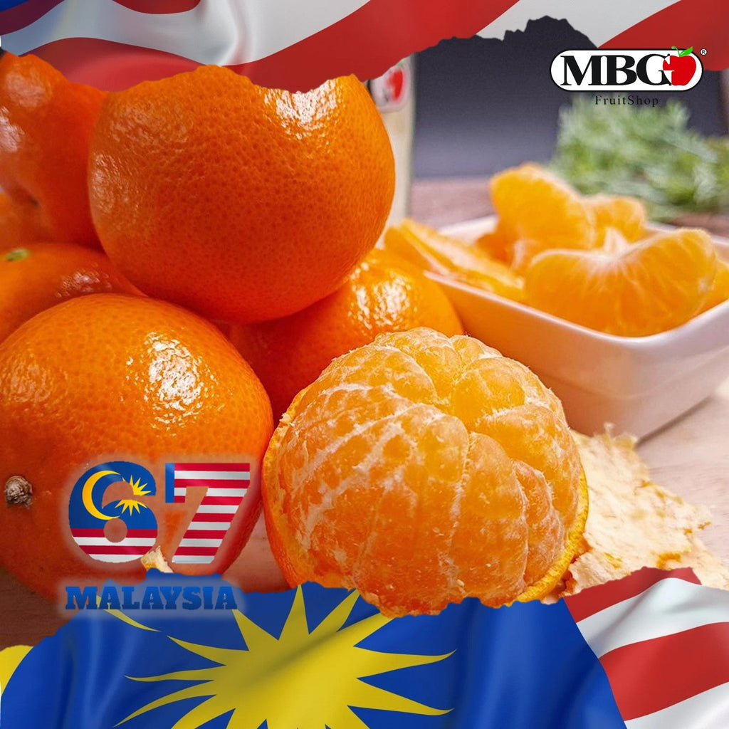 South Africa Nova Mandarin (6 Pcs)-Citrus-MBG Fruit Shop