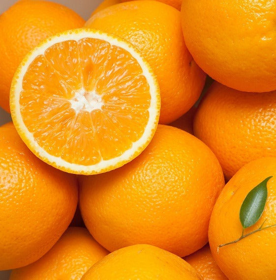 South Africa Orange Valencia (M) [5 Pcs]-Citrus-MBG Fruit Shop