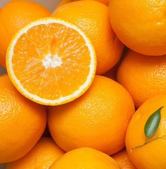 South Africa Orange Valencia (M) [6 Pcs]-Citrus-MBG Fruit Shop