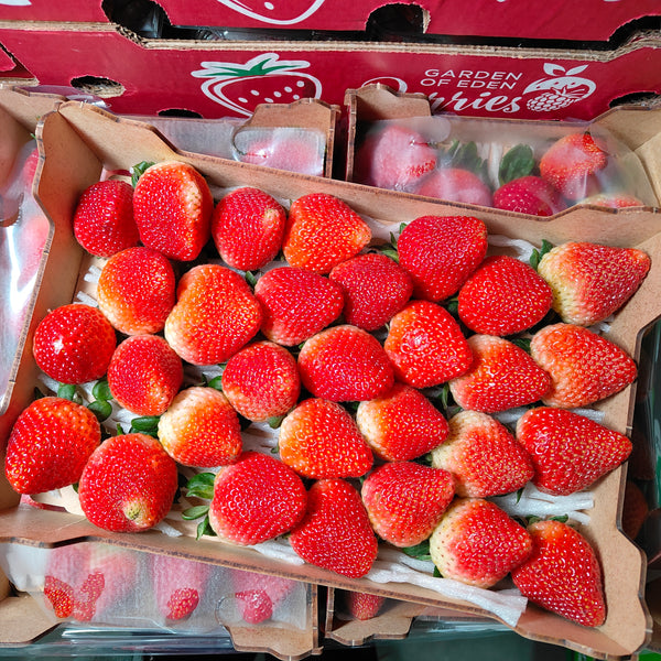 South Africa Strawberry [1Kg]-Berries-MBG Fruit Shop