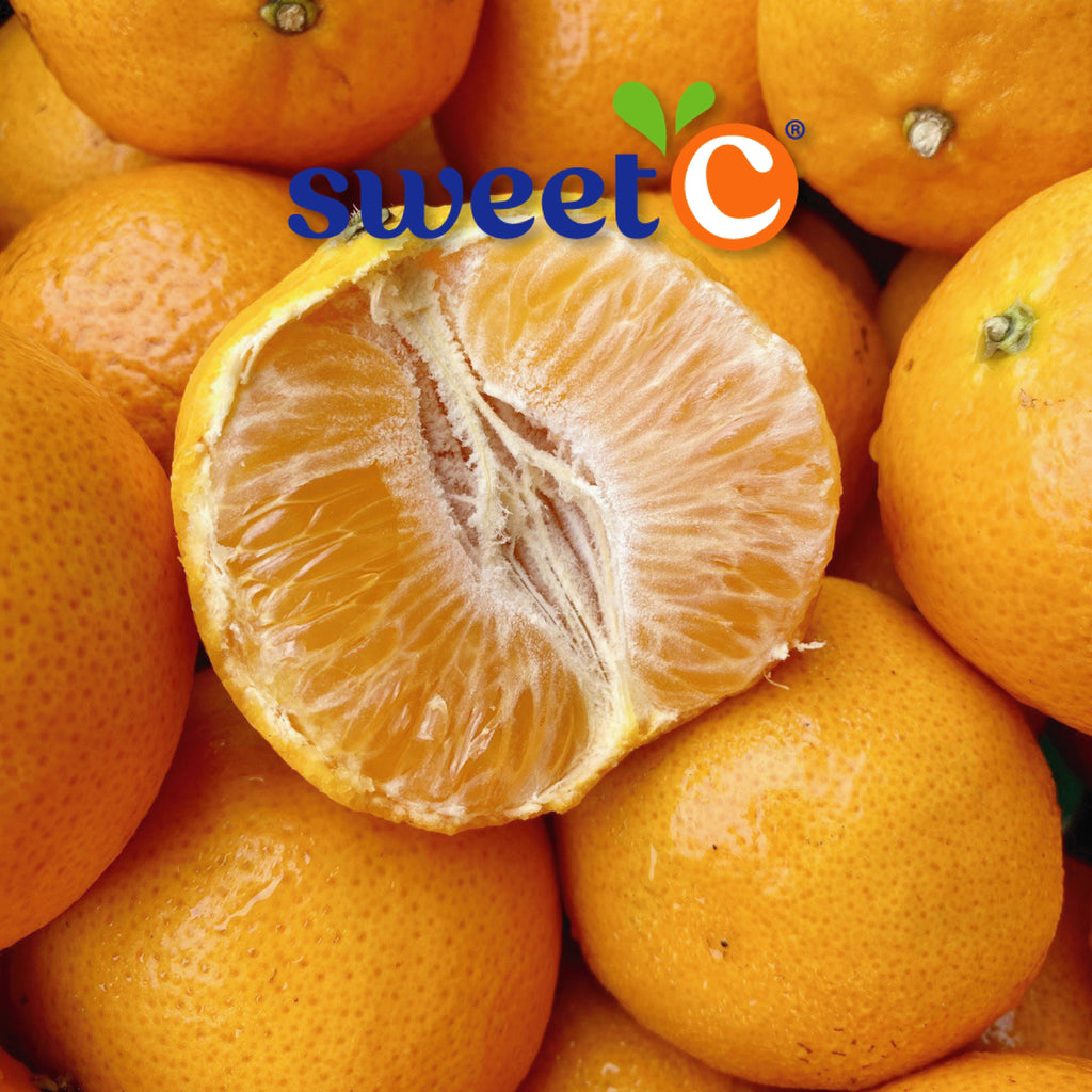 South Africa Sweet Mandarin (5 Pcs)-Citrus-MBG Fruit Shop