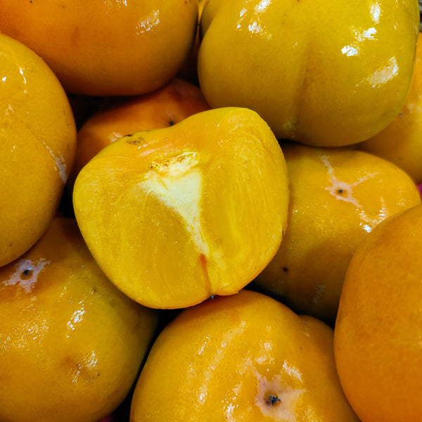 South Africa Sweet Persimmon (M) [450G]-Citrus-MBG Fruit Shop