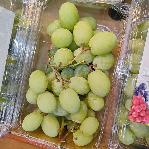 South Africa White Seedless Sweet Globe Grape [500G/Pack]-Grapes-MBG Fruit Shop