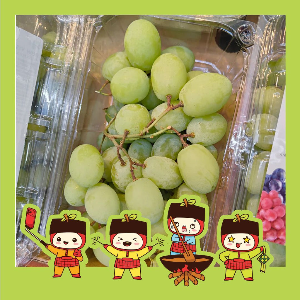 South Africa White Seedless Sweet Globe Grape [500G/Pack]-Grapes-MBG Fruit Shop