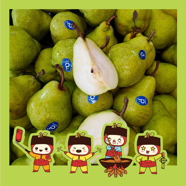 South Africa Packham Pear (M) [4 Pcs]-Apples Pears-MBG Fruit Shop