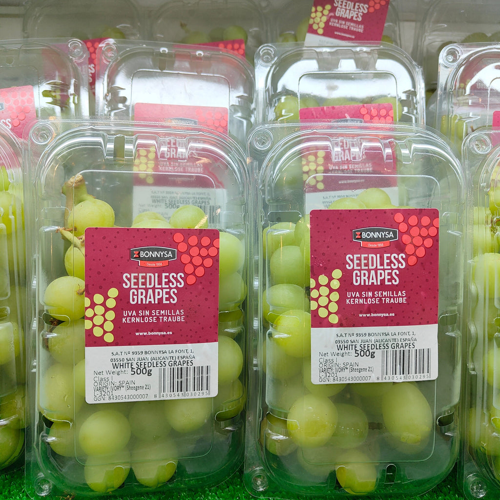 Spain Ivory Green Seedless Grape [500G/Pack]-Grapes-MBG Fruit Shop