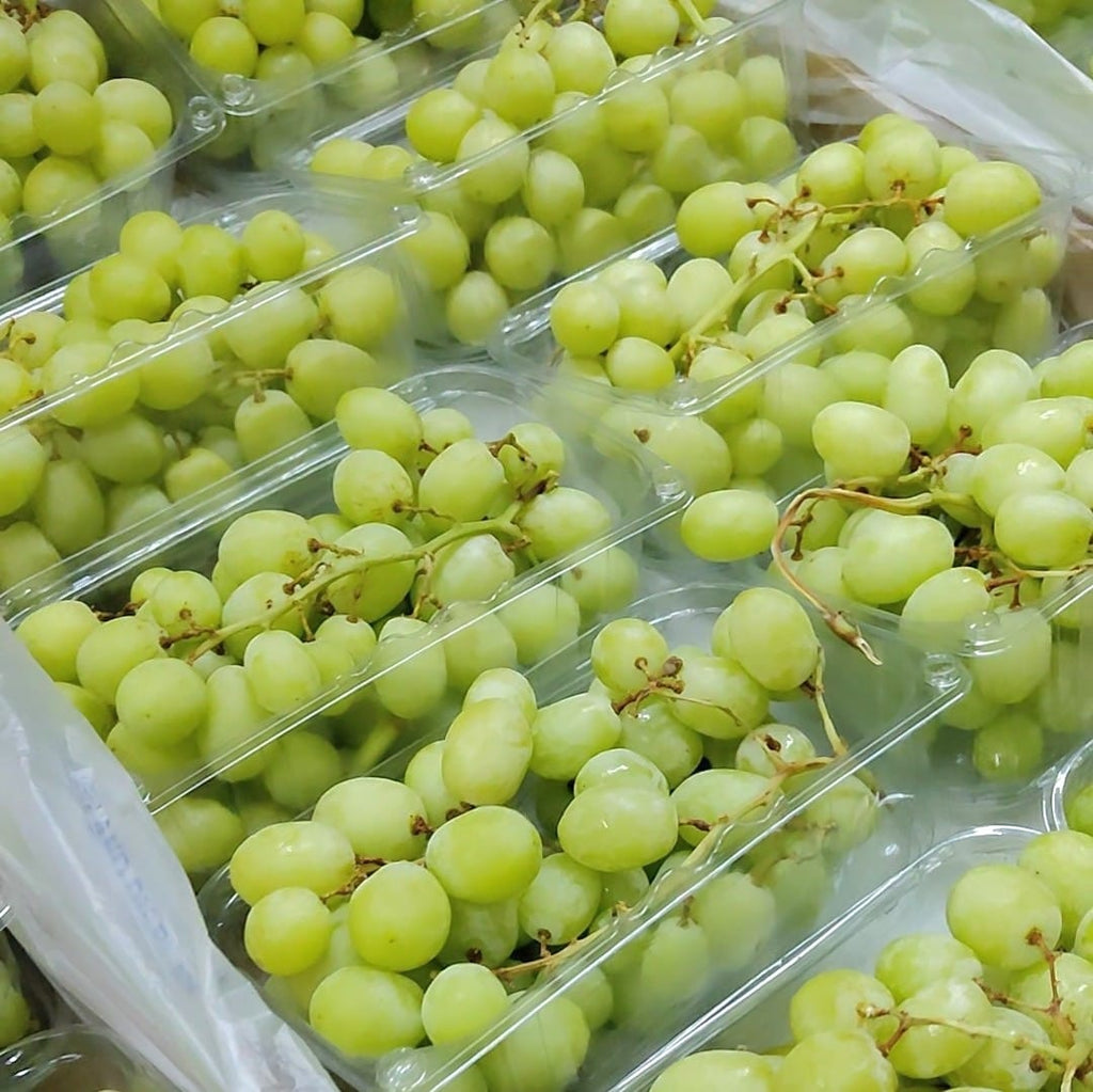 Spain Sweet Globe Green Grapes [1KG/Pack]-Grapes-MBG Fruit Shop