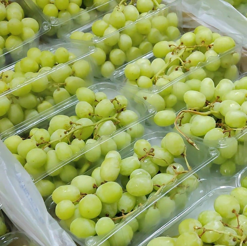 Spain Sweet Globe Green Grapes [500G/Pack]-Grapes-MBG Fruit Shop