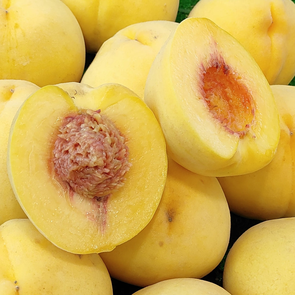 Spain Yellow Peach (M) [3 Pcs/Pack]-Stone Fruits-MBG Fruit Shop