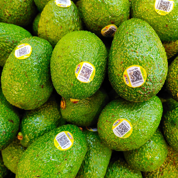 Tanzania Hass Avocado (S) [4 Pcs]-Berries-MBG Fruit Shop