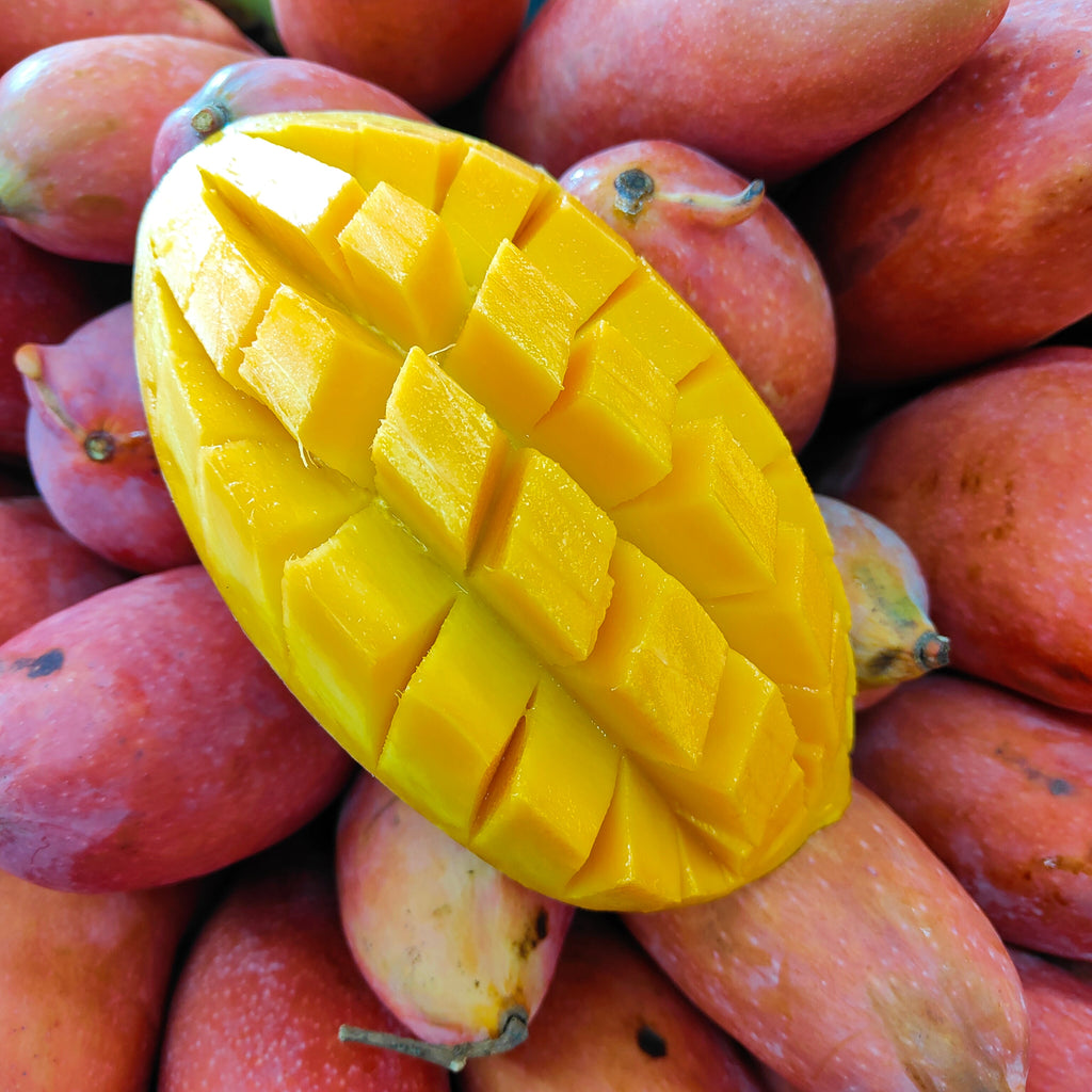 Thailand Aiwen Mango [+/-1.8Kg]-Exotic Fruits-MBG Fruit Shop