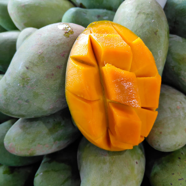 Thailand Black Gold Mango (9A) [+/-1.2Kg]-Exotic Fruits-MBG Fruit Shop