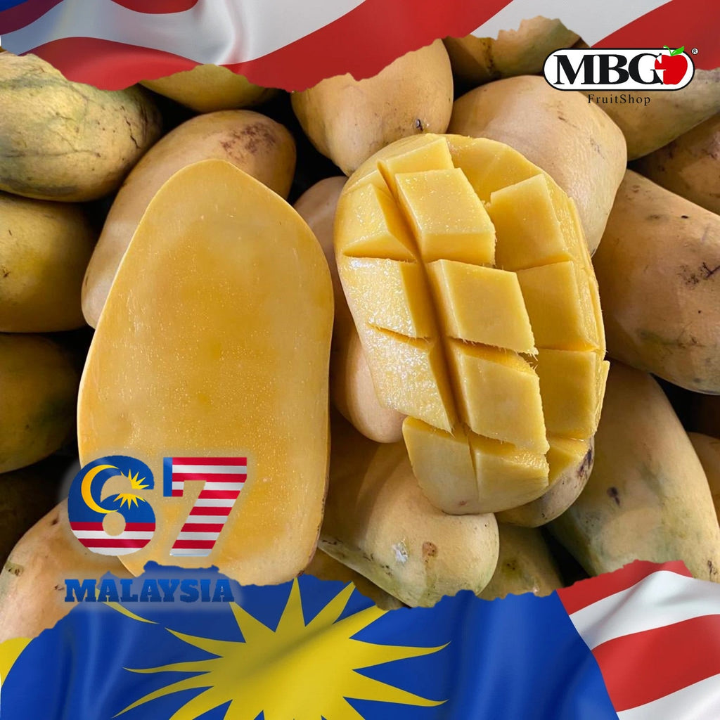 Thailand Chukunan Mango (4 Pcs)-Exotic Fruits-MBG Fruit Shop