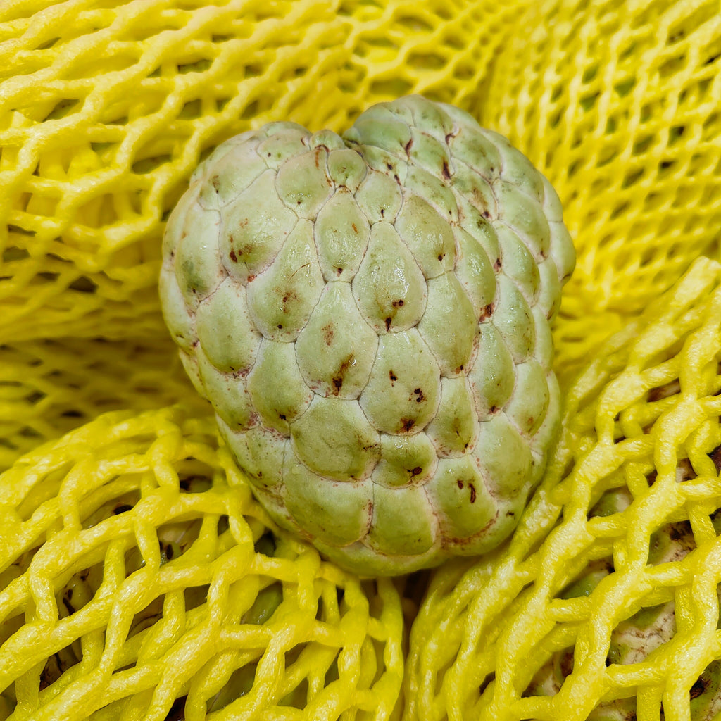 Thailand Custard Apple / Buah Nona [+/-1Kg]-Exotic Fruits-MBG Fruit Shop
