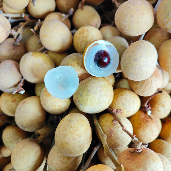 Thailand Longan [+/-1.0Kg]-Exotic Fruits-MBG Fruit Shop