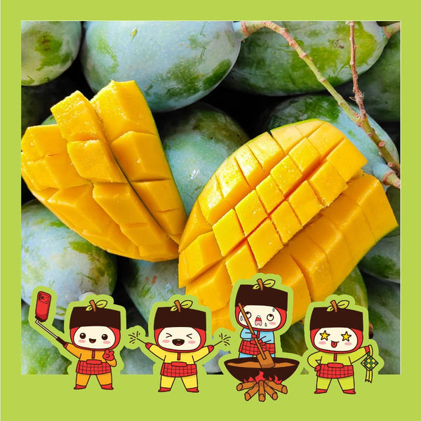 Thailand Mango 3 Rasa [+/-1Kg]-Exotic Fruits-MBG Fruit Shop