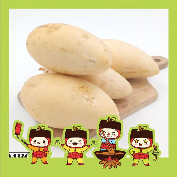 Thailand Mango Gold Lily [+/- 1kg]-Exotic Fruits-MBG Fruit Shop