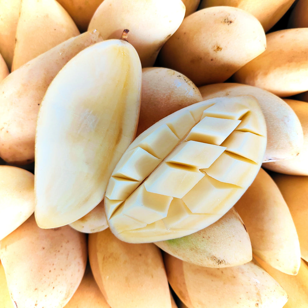 Thailand Mango Lily [+/-1.0Kg]-Exotic Fruits-MBG Fruit Shop