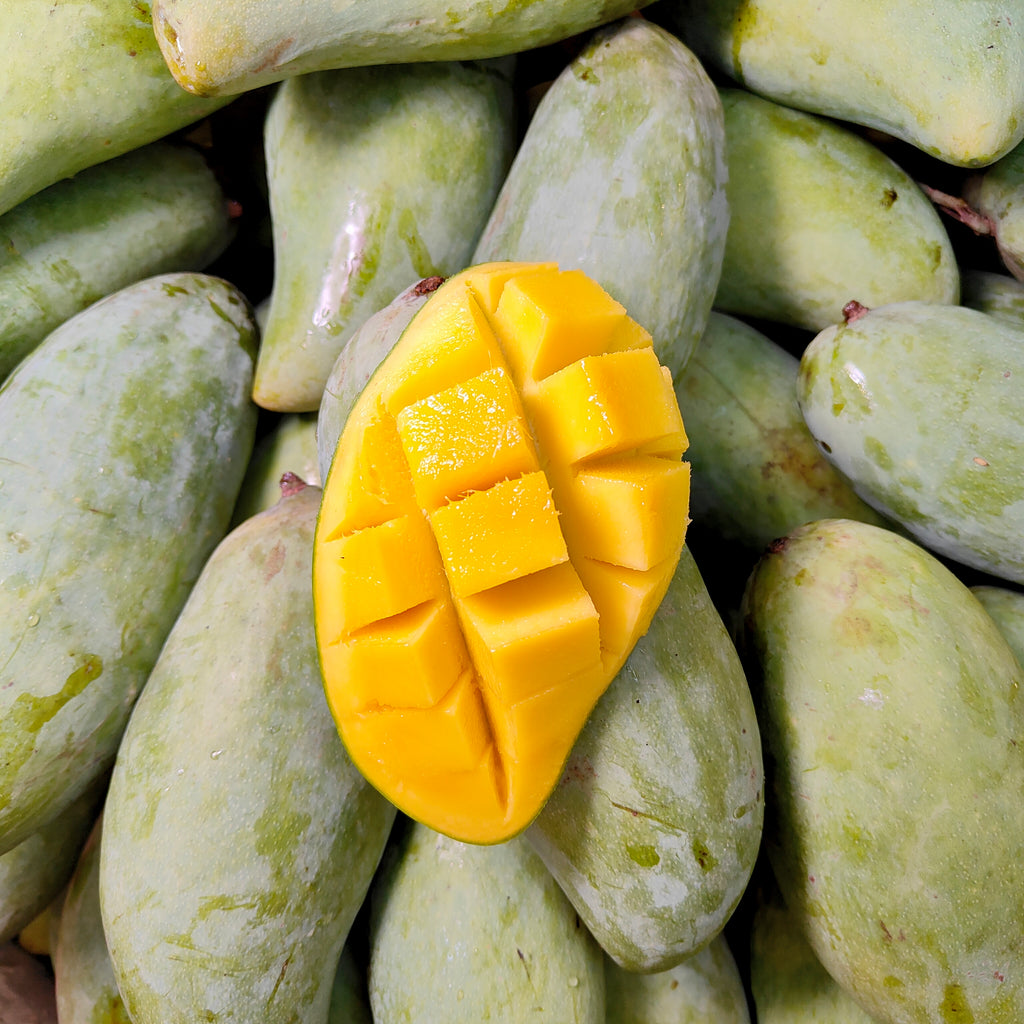 Thailand Mango Lily Gold [+/-1.0Kg]-Exotic Fruits-MBG Fruit Shop