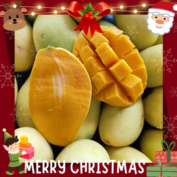 Thailand Mango Susu Gold (M) [2 Pcs]-Exotic Fruits-MBG Fruit Shop