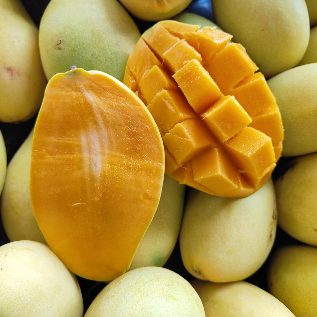 Thailand Mango Susu Gold (M) [+/-2.0Kg]-Exotic Fruits-MBG Fruit Shop