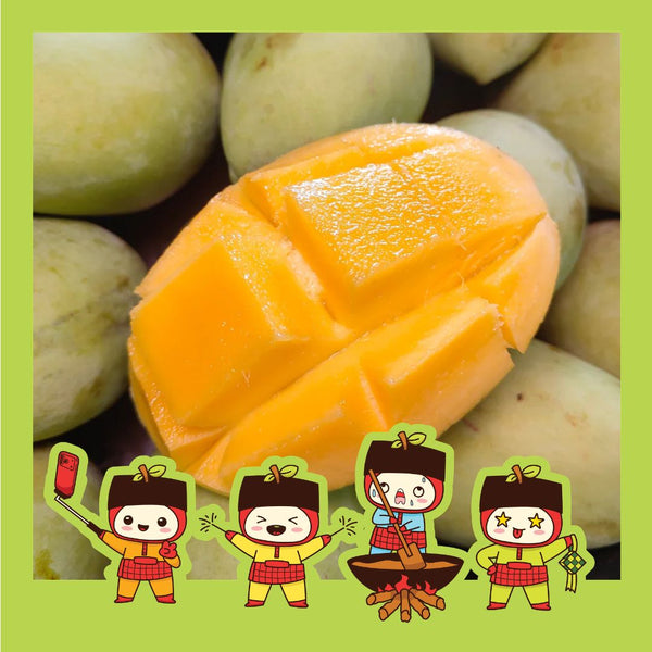 Thailand Mango Susu Green [+/-1kg]-Exotic Fruits-MBG Fruit Shop