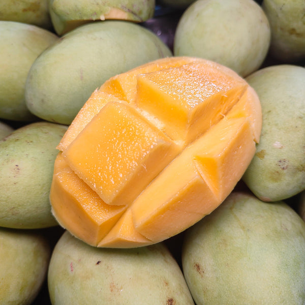 Thailand Mango Susu Green (M) [+/-1.Kg]-Exotic Fruits-MBG Fruit Shop