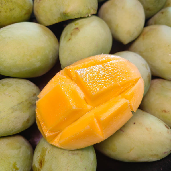 Thailand Mango Susu Green (M) [+/-1.Kg]-Exotic Fruits-MBG Fruit Shop