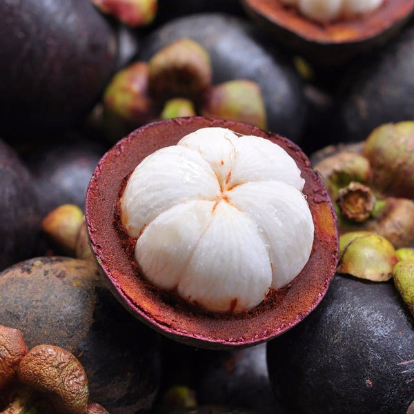 Thailand Mangosteen [+/-1KG]-Exotic Fruits-MBG Fruit Shop