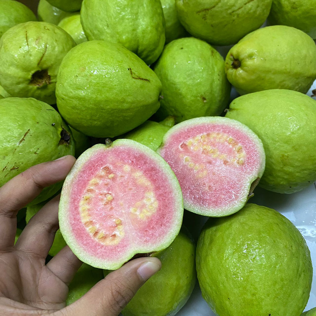 Thailand Pink Guava [+/-1kg]-Exotic Fruits-MBG Fruit Shop