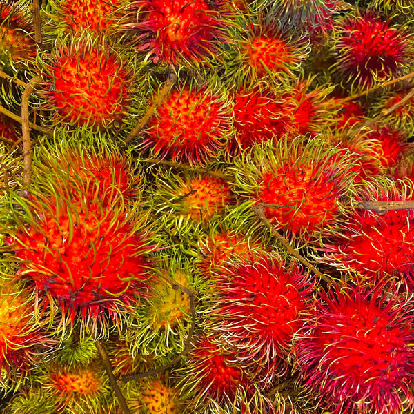 Thailand Rambutan [2Kg/Pack]-Exotic Fruits-MBG Fruit Shop
