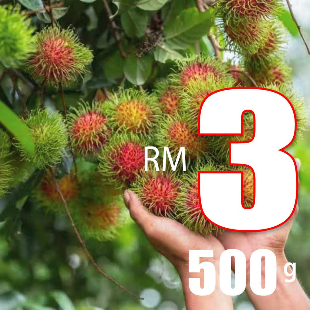 Thailand Rambutan [500G/1Pack]-Exotic Fruits-MBG Fruit Shop