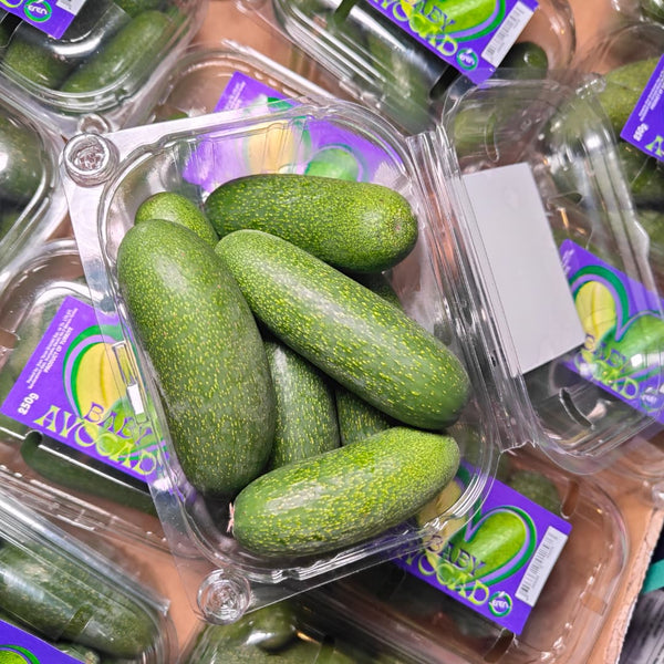 Turkey Baby Avocado [250g/pack]-Stone Fruits-MBG Fruit Shop