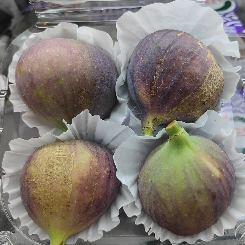 Turkey Fresh Figs [4 Pcs]-Berries-MBG Fruit Shop